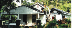 bad-weather-downed-tree-on-house-by-smile4camera.jpg